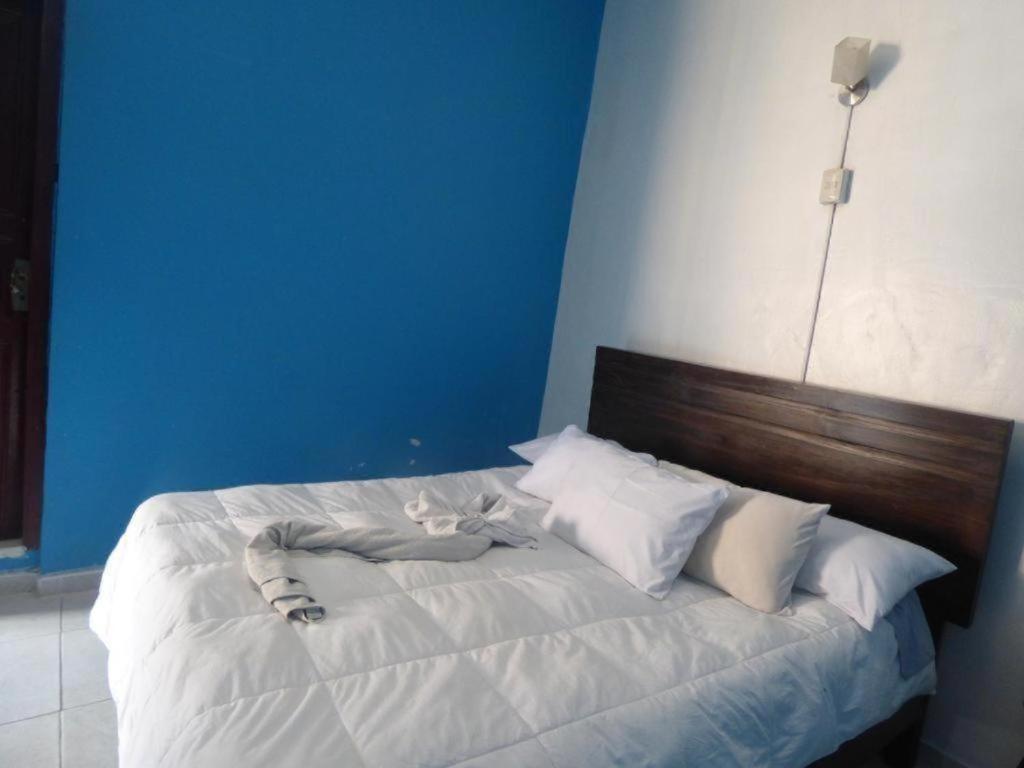 쿠스코 Qosqollay Plaza De Armas B&B 외부 사진